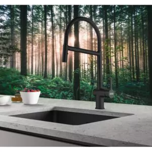 Mitigeur Active Semi Pro Mythos FRANKE 1 Mitigeur Active Semi Pro Mythos FRANKE arc en ciel group